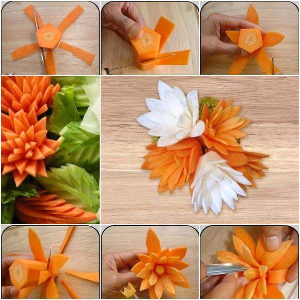 flower of carrots