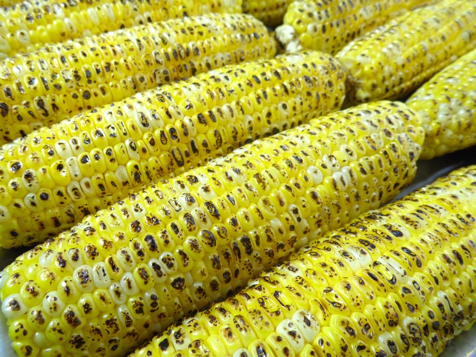 grilled corn recipes