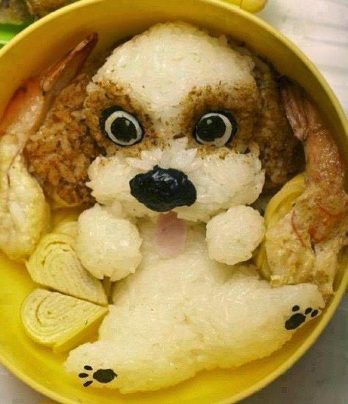 dog rice