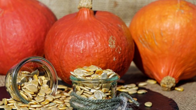 pumpkin seeds