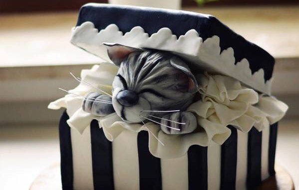 cat lovers cake