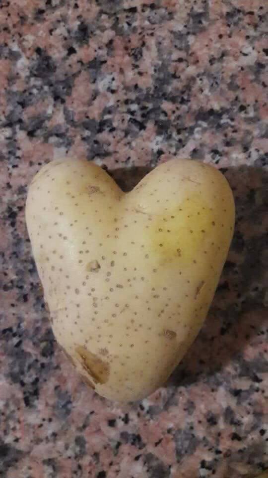 funny-shaped vegetables