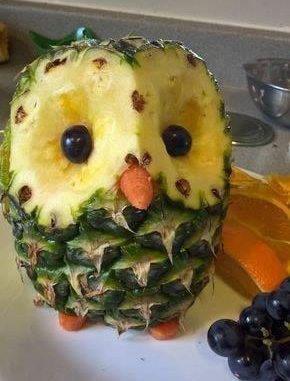 pineapple owl