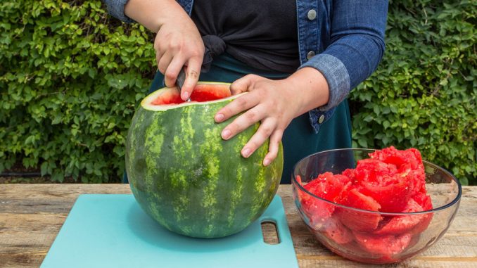 watermelon juice dispenser